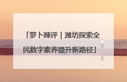 萝卜辣评｜潍坊探索全民数字素养提升新路径