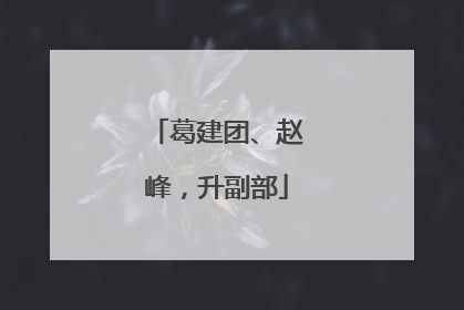 葛建团、赵峰，升副部