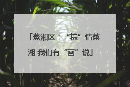 蒸湘区：“粽”情蒸湘 我们有“画”说