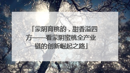 蒙阴育桃韵，甜香溢四方——看蒙阴蜜桃全产业链的创新崛起之路