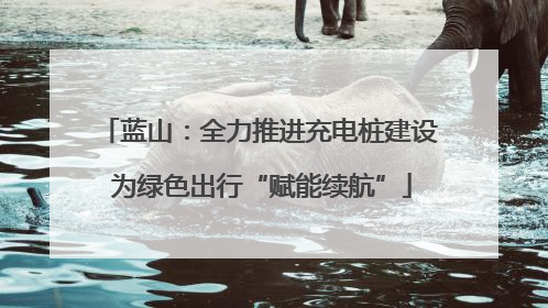 蓝山：全力推进充电桩建设 为绿色出行“赋能续航”