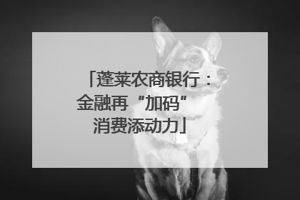 蓬莱农商银行：金融再“加码” 消费添动力