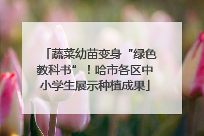 蔬菜幼苗变身“绿色教科书”！哈市各区中小学生展示种植成果