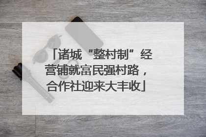 诸城“整村制”经营铺就富民强村路，合作社迎来大丰收