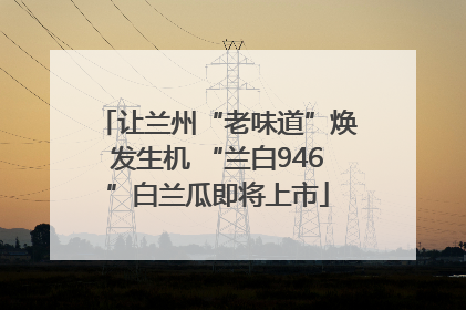 让兰州“老味道”焕发生机 “兰白946”白兰瓜即将上市
