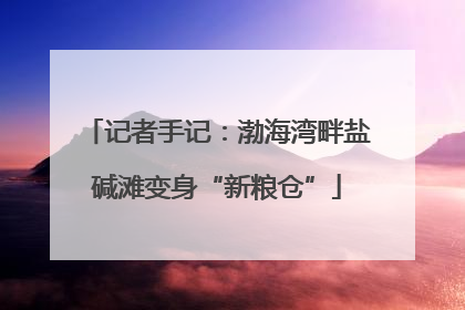 记者手记：渤海湾畔盐碱滩变身“新粮仓”