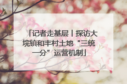 记者走基层丨探访大垸镇和丰村土地“三统一分”运营机制