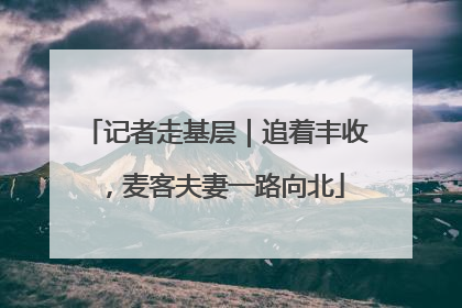 记者走基层｜追着丰收，麦客夫妻一路向北