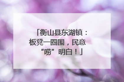 衡山县东湖镇：板凳一圈围，民意“唠”明白！