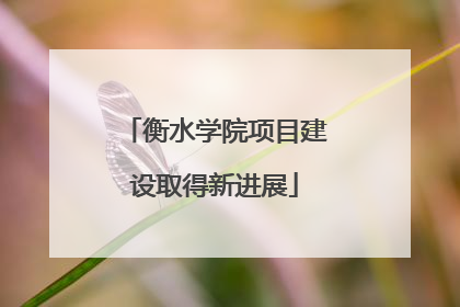 衡水学院项目建设取得新进展