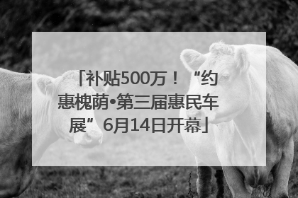 补贴500万！“约惠槐荫•第三届惠民车展”6月14日开幕