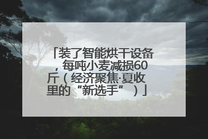 装了智能烘干设备，每吨小麦减损60斤（经济聚焦·夏收里的“新选手”）