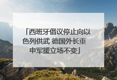 西班牙倡议停止向以色列供武 德国外长重申军援立场不变