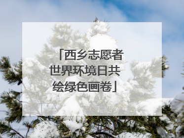 西乡志愿者世界环境日共绘绿色画卷