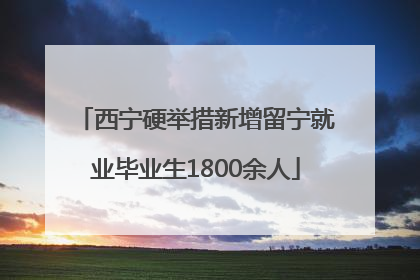 西宁硬举措新增留宁就业毕业生1800余人