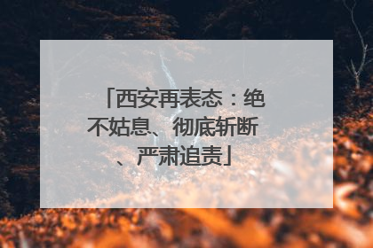 西安再表态：绝不姑息、彻底斩断、严肃追责