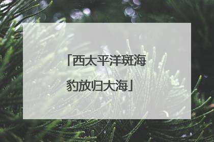 西太平洋斑海豹放归大海