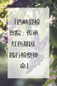 西峡县检察院：传承红色基因 践行检察使命