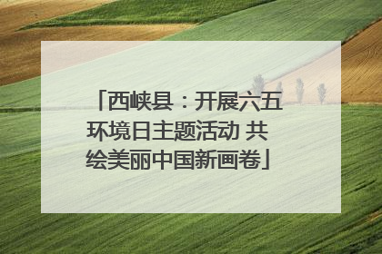 西峡县：开展六五环境日主题活动 共绘美丽中国新画卷