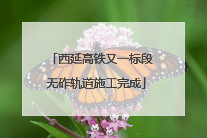 西延高铁又一标段无砟轨道施工完成