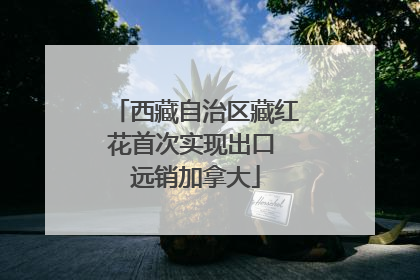 西藏自治区藏红花首次实现出口 远销加拿大