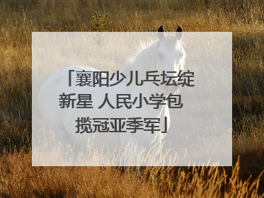 襄阳少儿乓坛绽新星 人民小学包揽冠亚季军