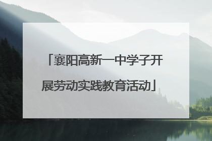 襄阳高新一中学子开展劳动实践教育活动