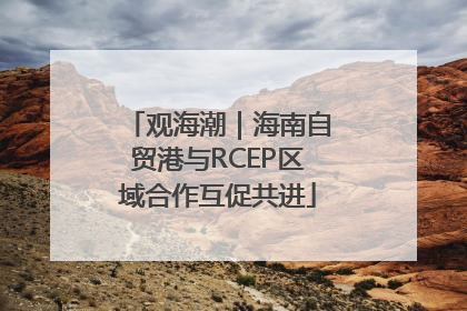 观海潮｜海南自贸港与RCEP区域合作互促共进