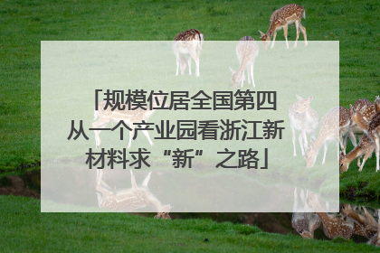 规模位居全国第四 从一个产业园看浙江新材料求“新”之路