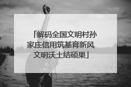 解码全国文明村孙家庄信用筑基育新风文明沃土结硕果