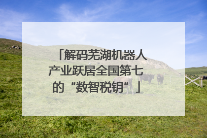 解码芜湖机器人产业跃居全国第七的“数智税钥”