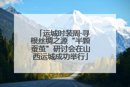 运城时装周·寻根丝绸之源“半颗蚕茧”研讨会在山西运城成功举行