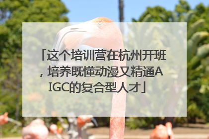 这个培训营在杭州开班，培养既懂动漫又精通AIGC的复合型人才