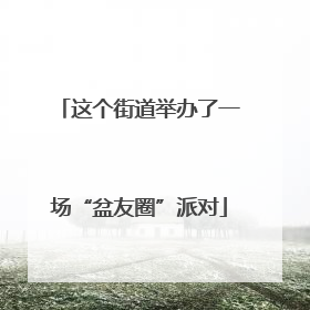 这个街道举办了一场“盆友圈”派对