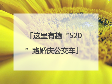 这里有趟“520”路婚庆公交车