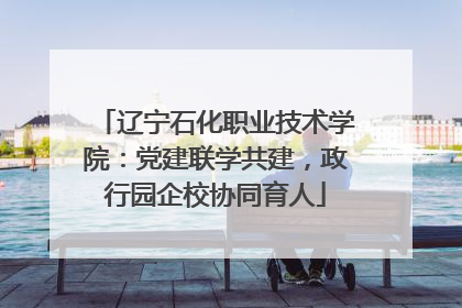 辽宁石化职业技术学院：党建联学共建，政行园企校协同育人