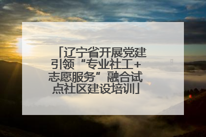 辽宁省开展党建引领“专业社工+志愿服务”融合试点社区建设培训