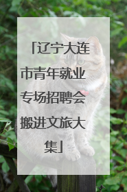辽宁大连市青年就业专场招聘会搬进文旅大集