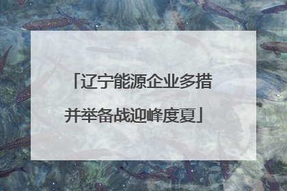 辽宁能源企业多措并举备战迎峰度夏
