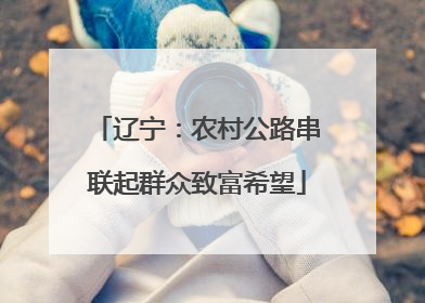辽宁：农村公路串联起群众致富希望