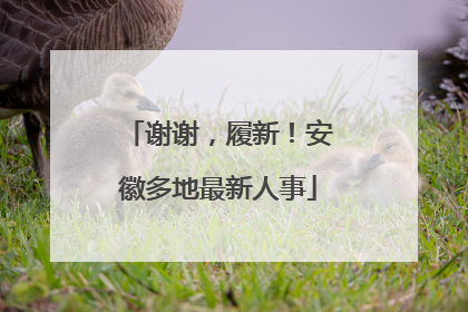 谢谢，履新！安徽多地最新人事