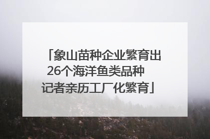 象山苗种企业繁育出26个海洋鱼类品种 记者亲历工厂化繁育
