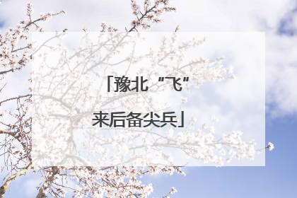 豫北“飞”来后备尖兵