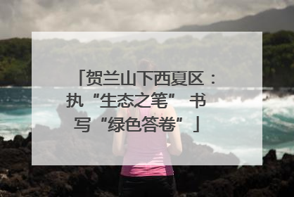 贺兰山下西夏区：执“生态之笔” 书写“绿色答卷”