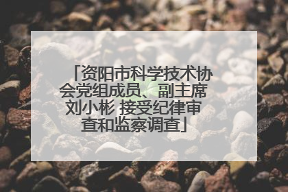资阳市科学技术协会党组成员、副主席刘小彬 接受纪律审查和监察调查