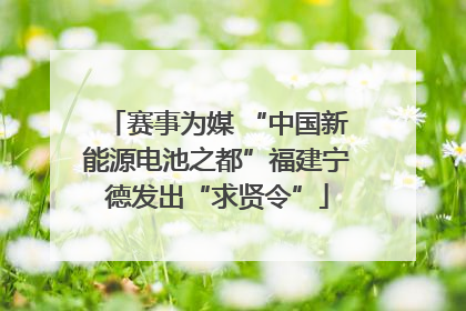 赛事为媒 “中国新能源电池之都”福建宁德发出“求贤令”