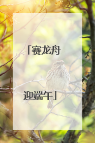 赛龙舟 迎端午