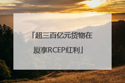 超三百亿元货物在厦享RCEP红利