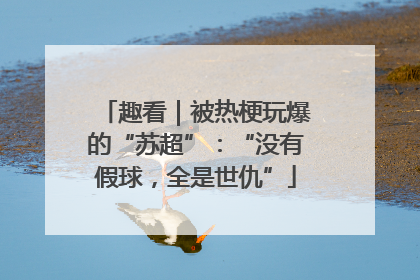 趣看｜被热梗玩爆的“苏超”：“没有假球，全是世仇”