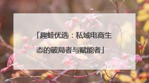 趣蛙优选：私域电商生态的破局者与赋能者